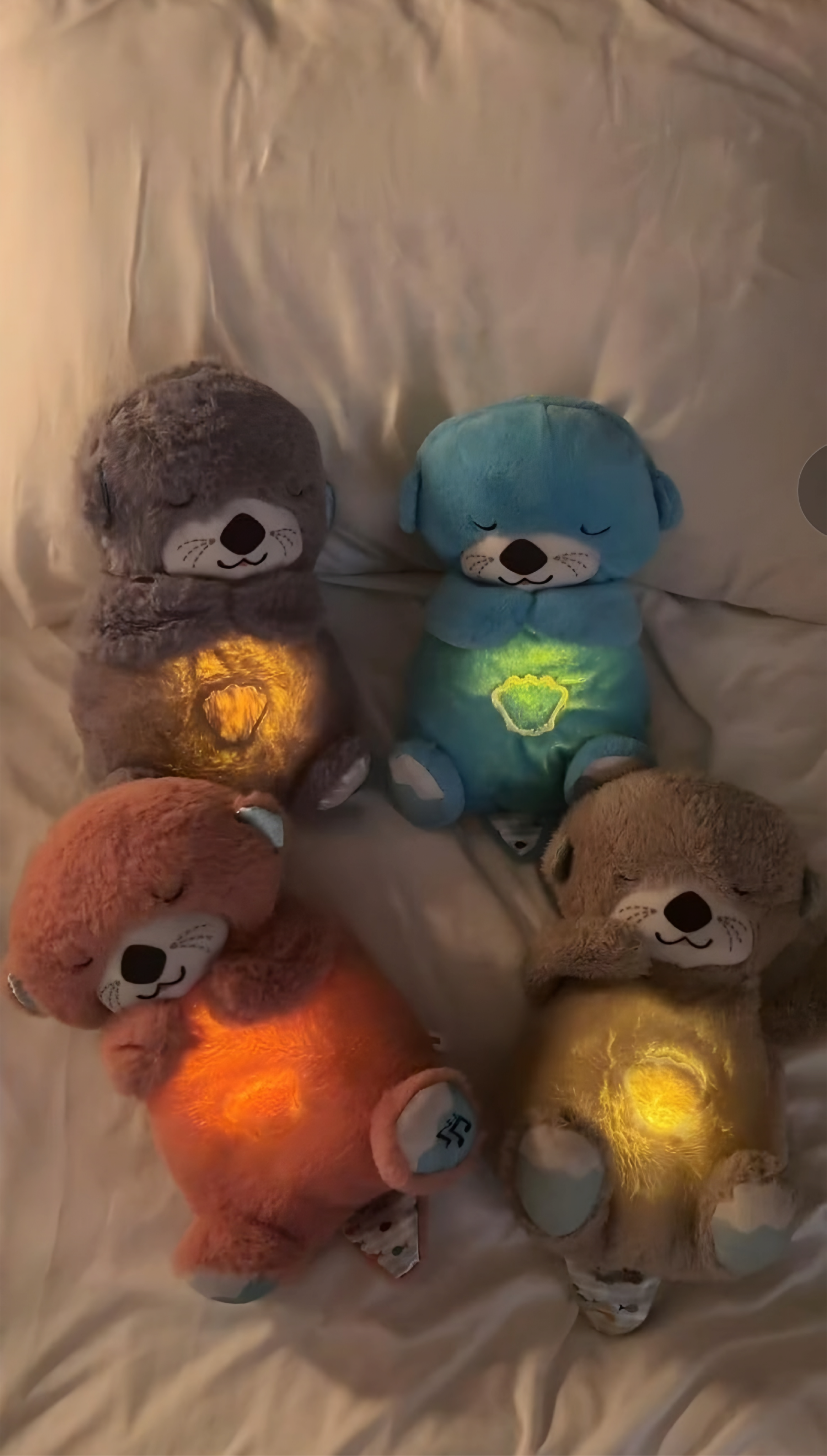 Breathing Teddy Bear